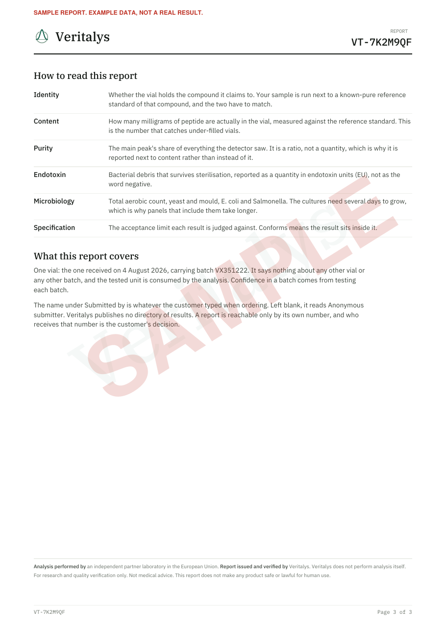 Page 3 of the sample certificate, explaining each test in plain language and stating what the report covers